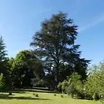 Le Petit Chateau - Adults Only Feriehus