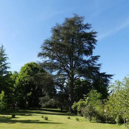 Le Petit Chateau - Adults Only Holiday home