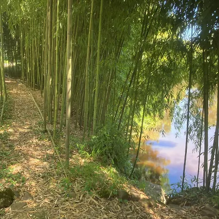 Le Petit Chateau - Adults Only Holiday home *