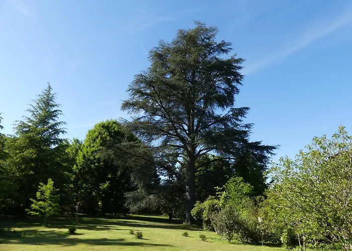 Le Petit Chateau - Adults Only Tatil Evi