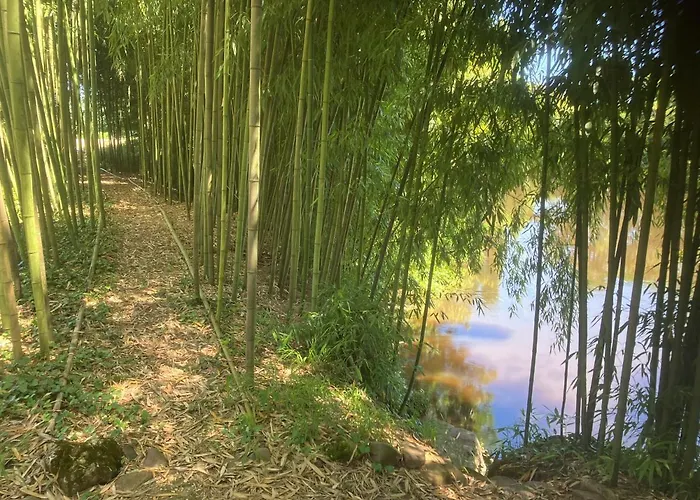 Le Petit Chateau - Adults Only בית נופש *